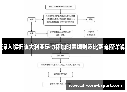 深入解析澳大利亚足协杯加时赛规则及比赛流程详解