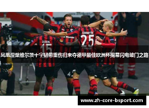 凤凰涅槃维尔茨十字韧带重伤归来夺德甲最佳欧洲杯揭幕闪电破门之路 凤凰涅槃维尔茨十字韧带重伤归来夺德甲最佳欧洲杯揭幕闪电破门之路