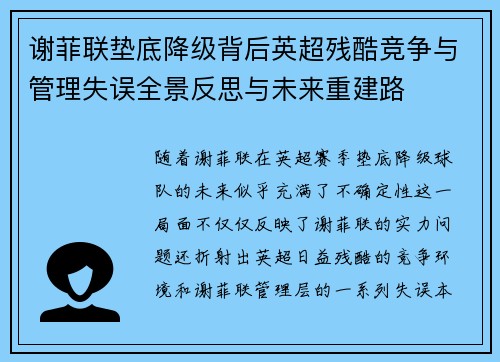 谢菲联垫底降级背后英超残酷竞争与管理失误全景反思与未来重建路
