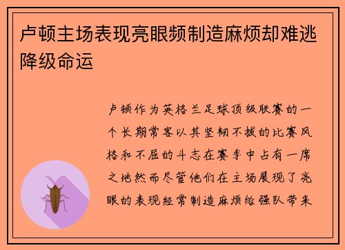 卢顿主场表现亮眼频制造麻烦却难逃降级命运